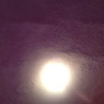 Profile Picture of Venancio Garcia (@venanciogarcia) on Instagram