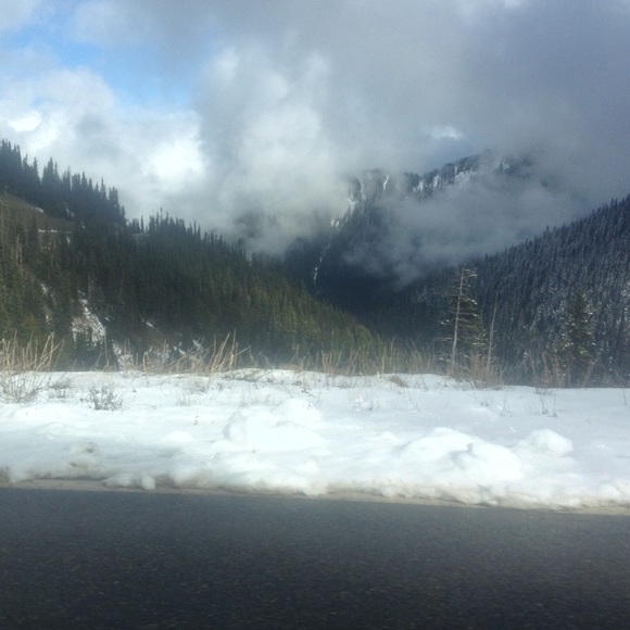 Shayna Roulette - Poshmark Profile Picture of Shayna Roulette (@shaynakate) on Poshmark