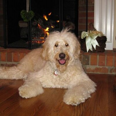 Daniel G. Mauch - Twitter Profile Picture of Daniel G. Mauch (@dmauch01) on Twitter