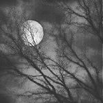 Profile Picture of Christa Michelle Mankin (@christamankin) on Instagram