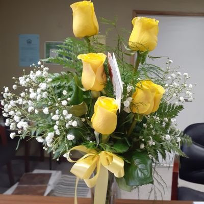 Profile Picture of Dianna Phillips (@DiannaP68919127) on Twitter