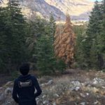 Profile Picture of Nathan (@nathan.hemming) on Instagram