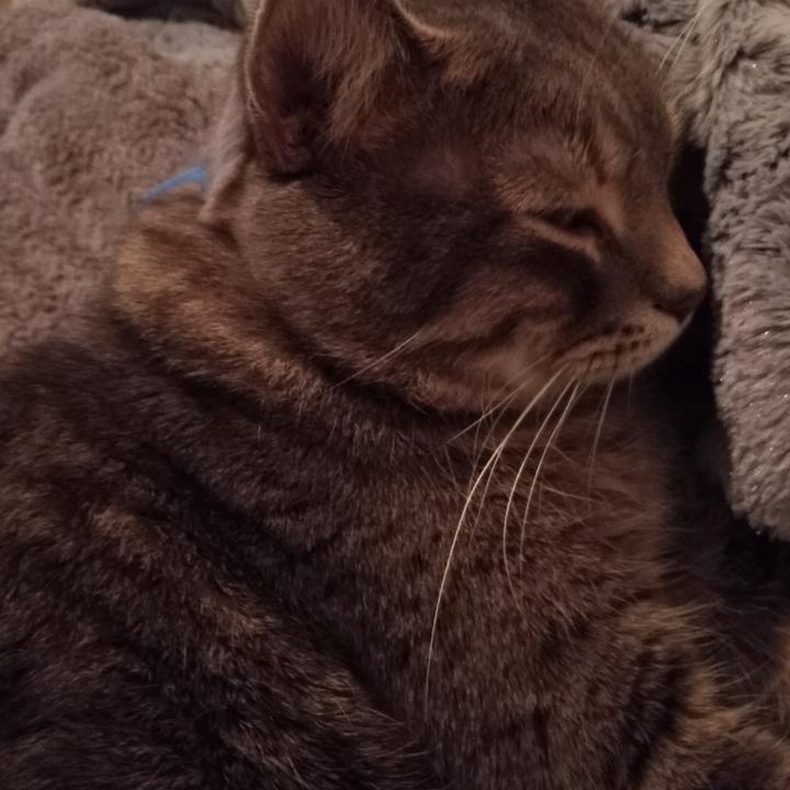 Profile Picture of Brian Cooper (@briancooper25) on Tiktok