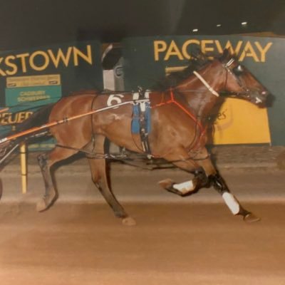 Profile Picture of Jade Clements (@JadeClem38) on Twitter