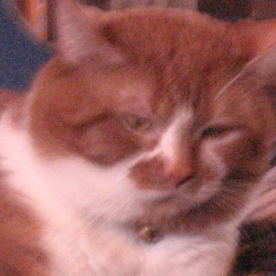 Profile Picture of Shawn Cormier (@s_cormier1) on Twitter