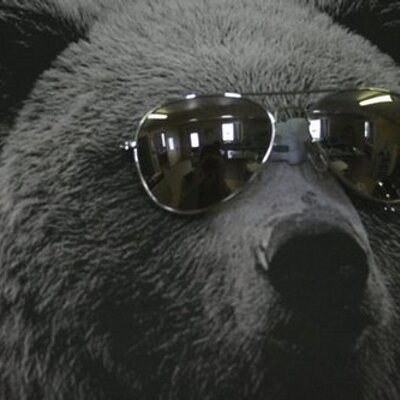 Profile Picture of Paul Faranda (@paulf78) on Twitter