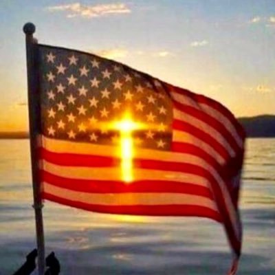 Profile Picture of Steve Hellman 🇺🇸 (@hellman1) on Twitter