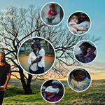 Profile Picture of Martin Andrews (@sirmartinandrews) on Instagram