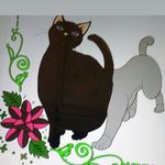 sean garberson - Instagram Profile Picture of sean garberson (@garbersonsean) on Instagram