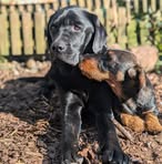 Profile Picture of Alexandra Diring (@Alexandra-Diring) on Facebook