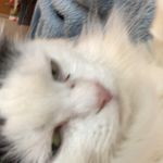 Profile Picture of mo (@melia.goin) on Instagram