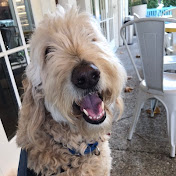 Profile Picture of Robin Grey (@marlogrey5674) on Youtube