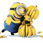 Eddie Patricia Roy Loha - Instagram Profile Picture of Eddie Patricia Roy Loha (@eddiepatriciaroy) on Instagram