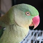 Profile Picture of Barry YIP (@barry3628) on Instagram