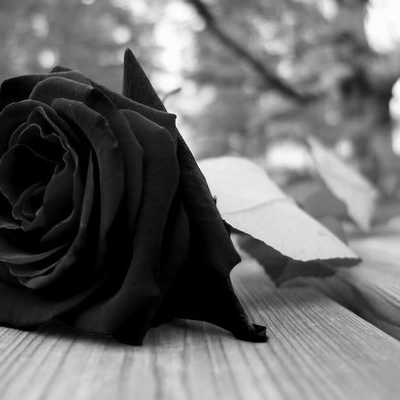 Profile Picture of Angelina Amram (@angjen2578) on Poshmark