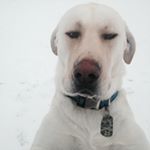 Profile Picture of Mandy Bogart (@spammandy.3) on Instagram