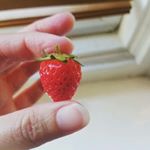 Profile Picture of Angela Bozzograo (@snackingaroundtheclock) on Instagram