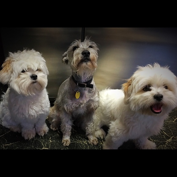 Profile Picture of Inkk Frontz (@indogirl21) on Poshmark