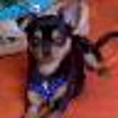 Profile Picture of Cortney Glynne Scott (@CortneyGlynne) on Twitter