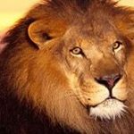 Profile Picture of Gregory Gonzalez King (@gregorygonzalezking) on Instagram