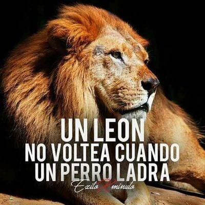 Dino Jiménez - Twitter Profile Picture of Dino Jiménez (@DinoJimnez2) on Twitter