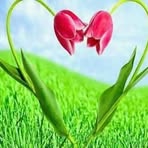 Profile Picture of Muhib Ullah Halimi (@muhibullah.halimi.16) on Facebook