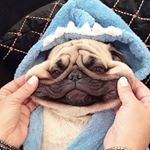 Adam Bielawski - Instagram Profile Picture of Adam Bielawski (@osokk1) on Instagram