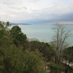 Profile Picture of Harehope (@harehopefluec) on Instagram