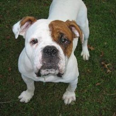 Profile Picture of Brian E. Blakeslee (@BrianEBlakeslee) on Twitter