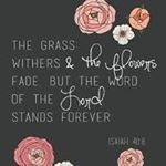 Profile Picture of {Rene Spencer} (@simply.a.christian.girl) on Instagram