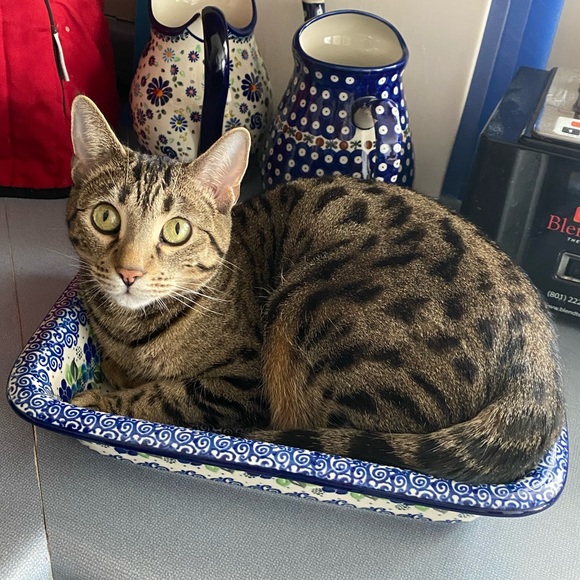 Zachary Makowski - Poshmark Profile Picture of Zachary Makowski (@linux079) on Poshmark