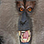 Profile Picture of Manoj Sai (@manojsai) on Flickr