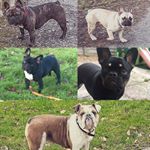 Profile Picture of Jon Dingle (@dinglejon) on Instagram