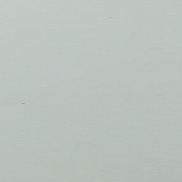 Profile Picture of Chris Rotert (@crash_a_rue) on Poshmark