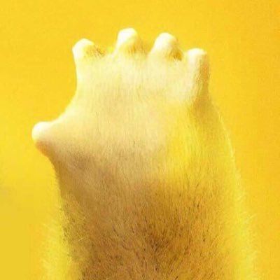 Profile Picture of ？？？ (@KevinZhen3) on Twitter