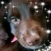 Profile Picture of Carolyn Mcdermott (@carolyn.mcdermott.73) on Facebook