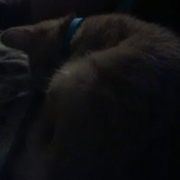 Profile Picture of Eric Evens (@eric-evens-1) on Quora