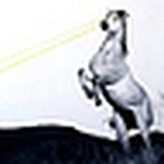 Profile Picture of Lisa Toone (@LM Toone) on Flickr