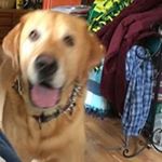 Profile Picture of Randy Rust (@r2_bsue) on Instagram