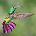 Profile Picture of Bird Rusty (@Bird-Rusty) on Facebook