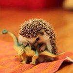 Profile Picture of Mike (@michael_hansell) on Instagram