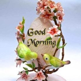 Profile Picture of Harmesh Kumar (@Harmesh86726227) on Twitter