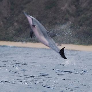 Profile Picture of Stuart Weisberg (@stuart.weisberg.9) on Facebook