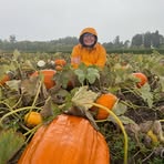 Profile Picture of Jessie Brazil (@Jessie-Brazil) on Facebook