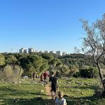 Profile Picture of Josh Rush (@jrushane1) on Instagram