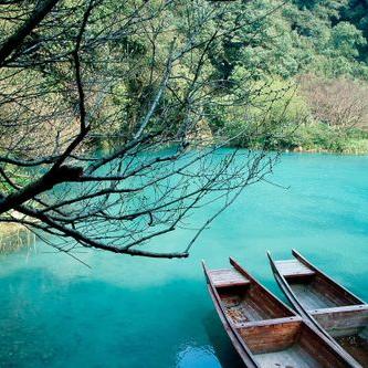 Profile Picture of Jane Wu (@YolandaWuChen) on Twitter