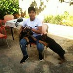 Profile Picture of hamid oumerzouk (@hamid_oz_) on Instagram