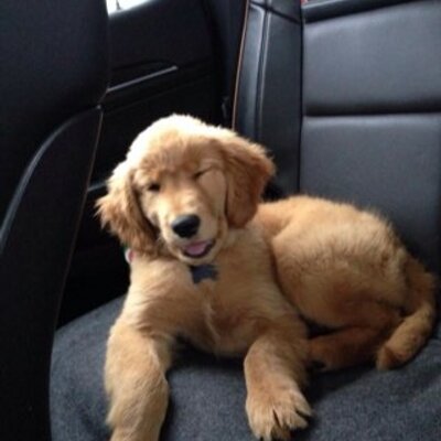 Profile Picture of Jeffrey Brunner (@jeffreybrunner) on Twitter