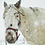 Profile Picture of Franck Becquart (@francklemeunier) on Flickr