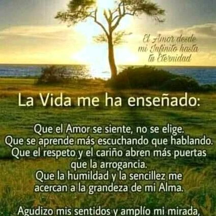 Profile Picture of Amy mejía Genecis (@user718525827264) on Tiktok